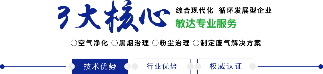 日韩在线电影，骚货骚死你敏达环保科技（嘉兴）有限公司